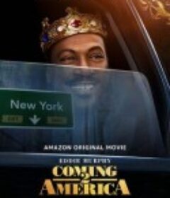 美国之旅2 Coming 2 America            (2021)