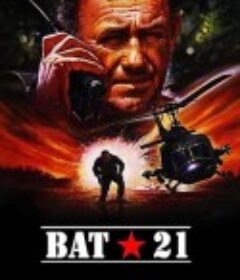 野狼呼叫21 Bat*21            (1988)