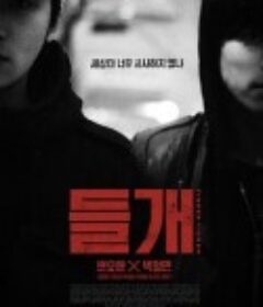 起爆 들개            (2013)