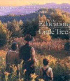 小树的故事 The Education of Little Tree            (1997)