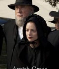 阿米什的恩典 Amish Grace            (2010)