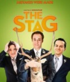 单身派对 The Stag            (2013)