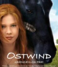 骏马奥斯温 Ostwind            (2013)