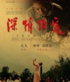 深情约定            (2014)