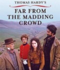 远离尘嚣 Far From The Madding Crowd            (1998)