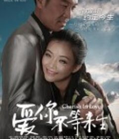 爱你不等来生            (2014)