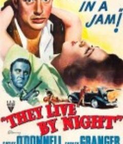 夜逃鸳鸯 They Live by Night            (1948)