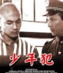 少年犯            (1985)