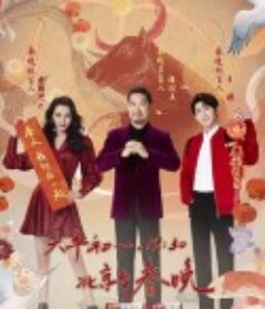 2021年北京卫视春节联欢晚会            (2021)