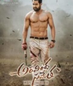 五卢比恩仇录 Aravindha Sametha Veera Raghava            (2018)