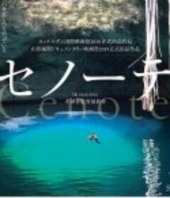 沉洞泉 セノーテ            (2019)