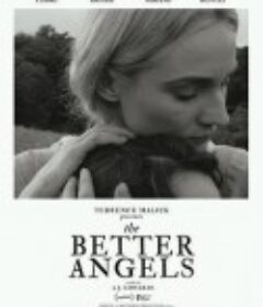 少年林肯 The Better Angels            (2014)