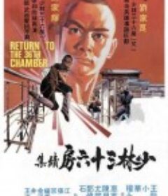 少林搭棚大师 少林搭棚大師            (1980)