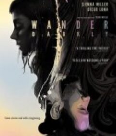 黑暗漫步 Wander Darkly            (2020)