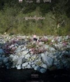 开始 დასაწყისი            (2020)