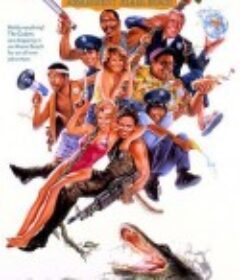 警察学校5：迈阿密之旅 Police Academy 5: Assignment Miami Beach            (1988)