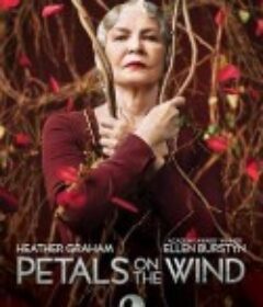 风中的花瓣 Petals on the Wind            (2014)