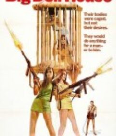 玩偶屋 The Big Doll House            (1971)