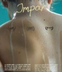 单袜 Impar            (2016)