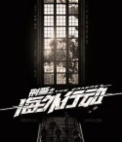 刑警之海外行动            (2021)