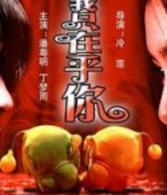 我只在乎你            (2004)