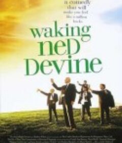 乐翻天 Waking Ned Devine            (1998)