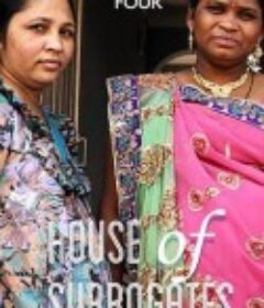 代孕者 House of Surrogates            (2013)