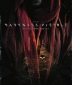 可见黑暗 Darkness Visible            (2019)
