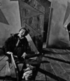 泄密的心 The Telltale Heart            (1928)