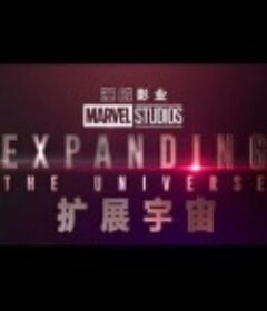 漫威影业扩展宇宙 Marvel Studios: Expanding the Universe            (2019)