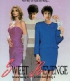 甜蜜的报复 Sweet Revenge            (1990)