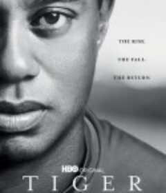 泰格·伍兹 Tiger            (2021)