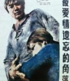被爱情遗忘的角落            (1981)