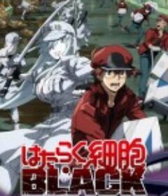 工作细胞BLACK はたらく細胞BLACK            (2021)