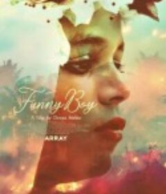 滑稽小子 Funny Boy            (2020)