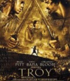特洛伊 Troy            (2004)