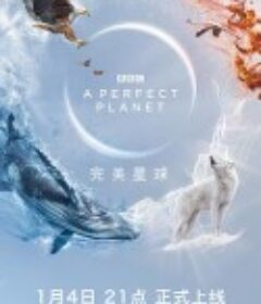 完美星球 A Perfect Planet            (2021)