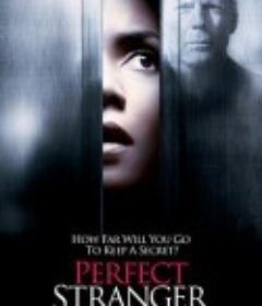 完美陌生人 Perfect Stranger            (2007)