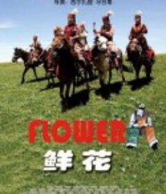 鲜花            (2009)