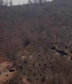 狩猎场·寄死窑            (2003)