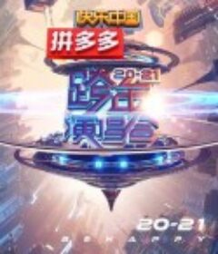 2021湖南卫视跨年演唱会            (2020)