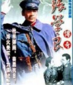 少帅传奇            (1984)