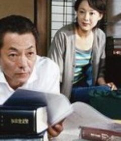 兼职法官 パートタイム裁判官            (2005)