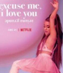 爱莉安娜·格兰德：嗨，我爱你 Ariana Grande: Excuse Me, I Love You            (2020)
