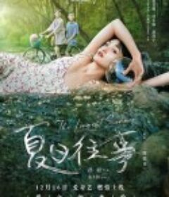 夏日往事            (2019)