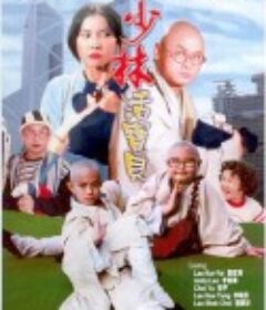 少林活宝贝 少林活寶貝            (1994)