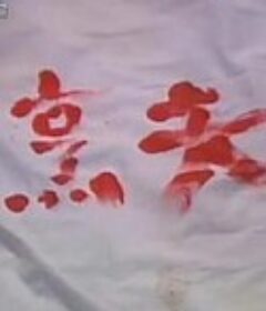 香港奇案之烹夫            (1991)