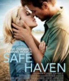 爱情避风港 Safe Haven            (2013)