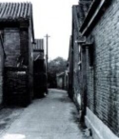 北京的胡同            (2010)