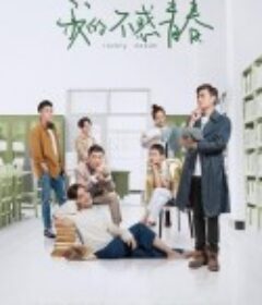 我的不惑青春            (2020)